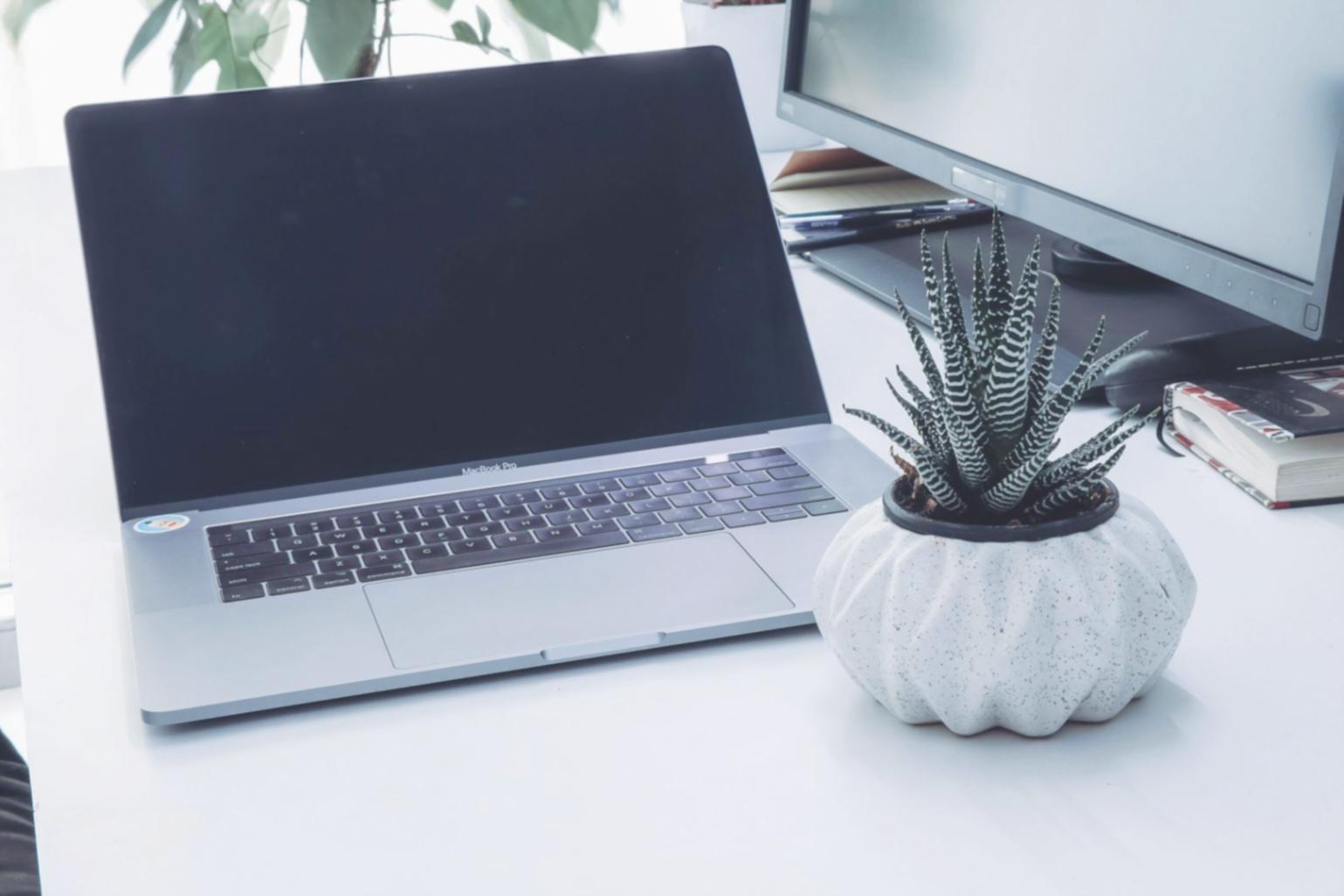 Professional business meeting showcasing vexaloripus franchise operations and planning